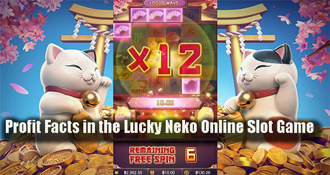 Profit Facts in the Lucky Neko Online Slot Game